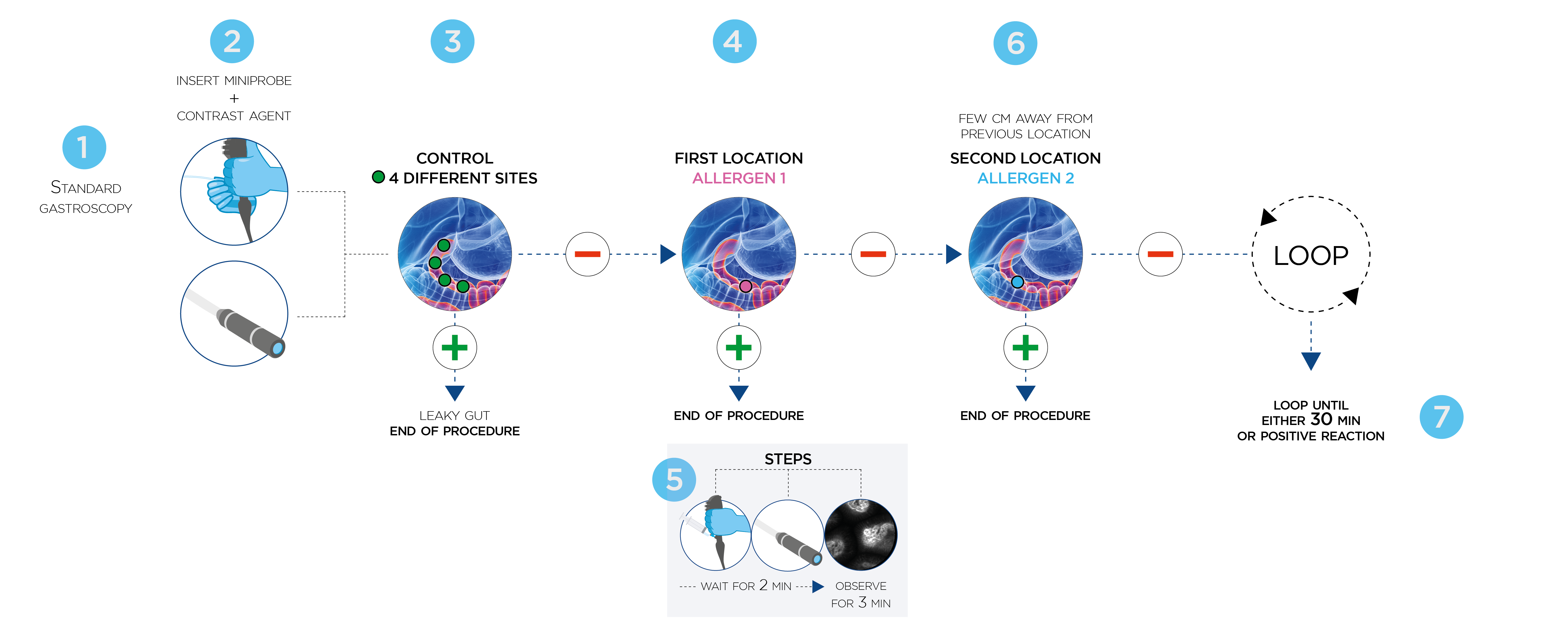 Fast Procedure STEPS.png